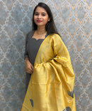 Gray Color Premium Handloom Raw Silk 3 Piece Salwar Set with Lining and Pocket / HL050
